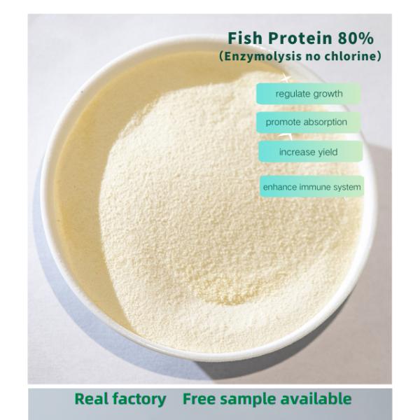 Enzyme Fish Meal Protein Enzyme Amino Acid