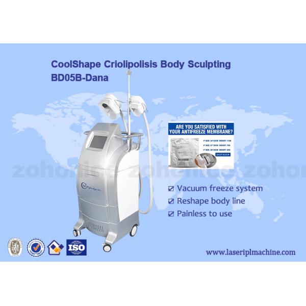 Quality Non - invasive Criolipolisis Slimming Machine cryotherapy fat removing machine wholesale