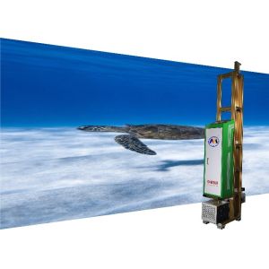 Mural Decoration Printing 720dpi 3d Wall Inkjet Printer Machine