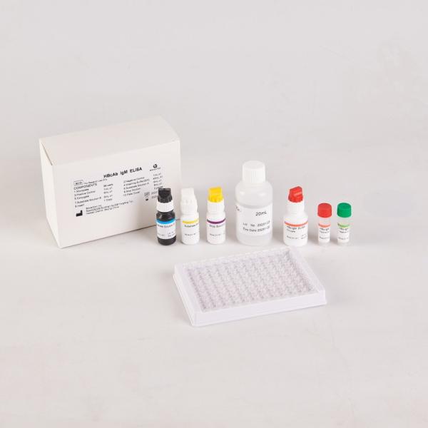 Quality RUO HBcAb Elisa kit wholesale