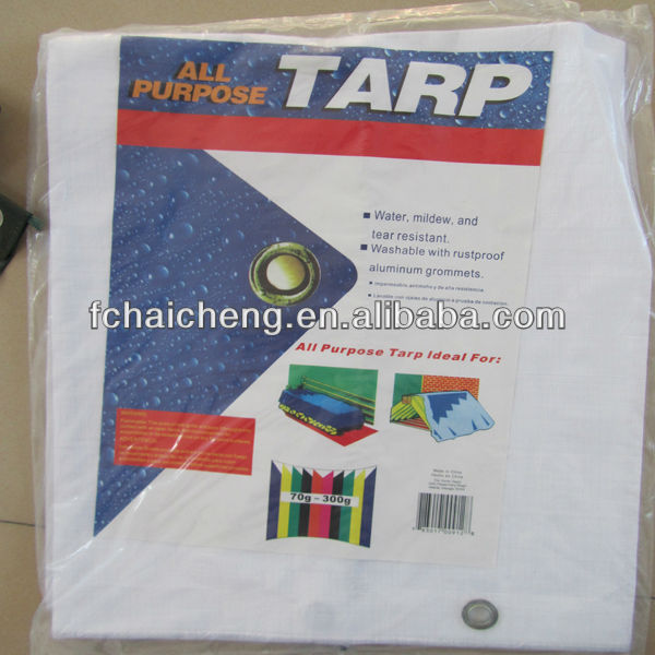 reversible utility cover