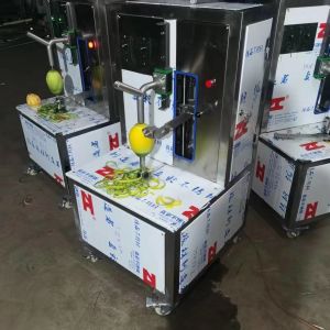 Industrial Small Mango Peeling Machine Processing Line Plant Equipment