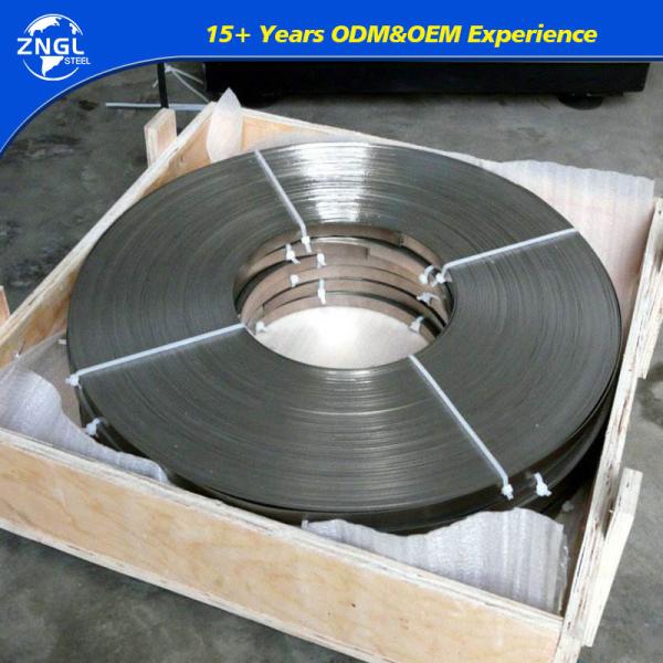Quality Heat Treatment SS Spring Metal Strips Ck45 RoHS Certificated wholesale