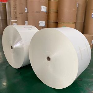 PE Coated Jumbo Roll Paper 1300mm