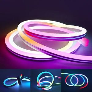 Flexible 6x12 Addressable Rgb Neon Light 5v Usb Led Strip Set