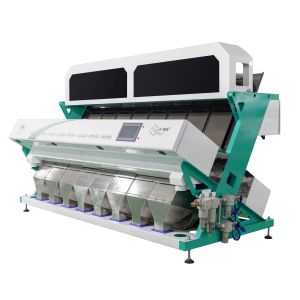 Wenyao Cost-Effective Hazelnuts Nut Color Sorter Machine