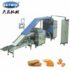 Schneider Transducer Soft And Hard Biscuits Making Machine