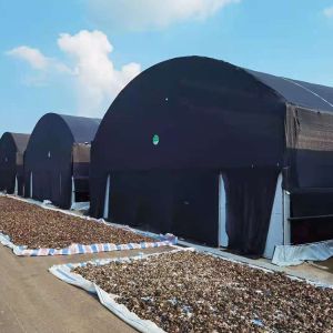 Double Layer Single Span Greenhouse Black Mesh Mushroom Cultivation In