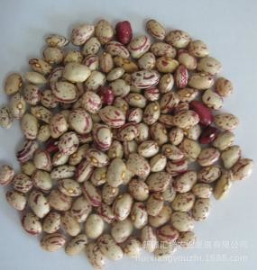 Multifunction Newest Software Kidney Beans Color Sorting Machine Beans Color