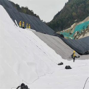 Outdoor Landfill Geomembrane Liners Length 50m-200m/roll Excellent Puncture