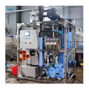 3 Ton Industrial Tube Ice Making Machine 380V50Hz for Hotel and Restaurant Needs