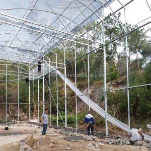 Single Layer Greenhouse Hydroponics System Wrought Iron Greenhouse With Film