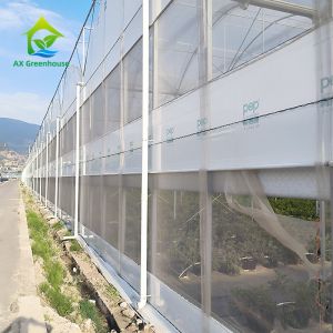 Multiple Span Plastic Greenhouse With Whole Systems
