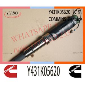 Y431K05620 Cummins Fuel Injector For K19 DS-289708 Y 431 K05 620