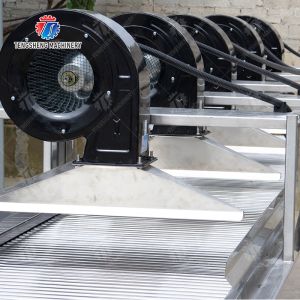 Fruits cleaning and drying production line Fruit Vegetable FOOD processing