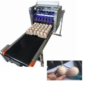 Eggs Barcode Printing Machine / Batch Number Printing Machine With USB Storage