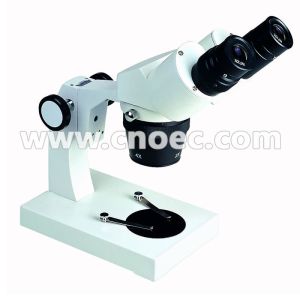 Binocular Digital Stereo Microscope biological Microscopes 5x / 10x Rohs A22