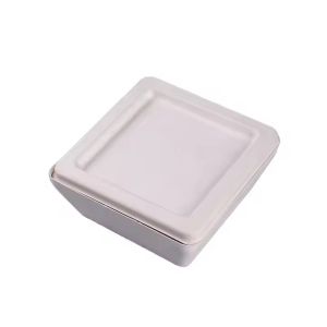 Custom Biodegradable Lunch Box Sustainable Sushi Burger Salad Packaging Solution