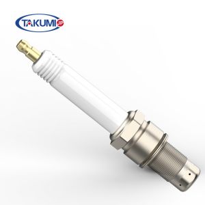 Spark Plug R6GC1-77M X52404500056 X52404500062 X52404500059 for MTU 4000 Gas