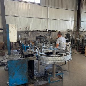 Galvanized Competitive Price Razor Bared Wire Concertina Barbed Protection Fence