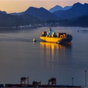 China LCL FCL Sea Freight Forwarder To Aarhus International Shipping