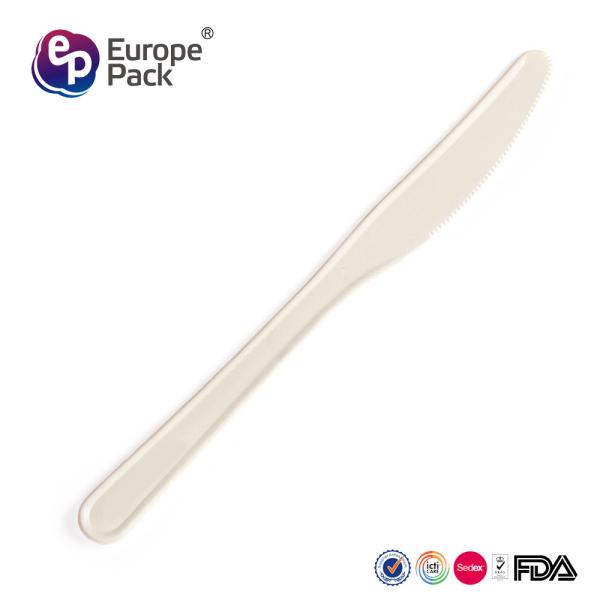 Quality 2019 new arrival high quality disposable biodegradable cake knife wholesale