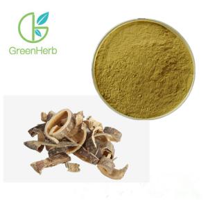 China Yellow 100% Natural Acacia Rigidula Extract Powder For Digestive Disorders on sale