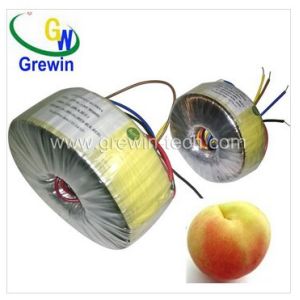 5000va 220v/230v Toroidal Core Power Transformer with high efficiency