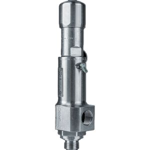Compact Performance Type 437 Pressure Safety Valve