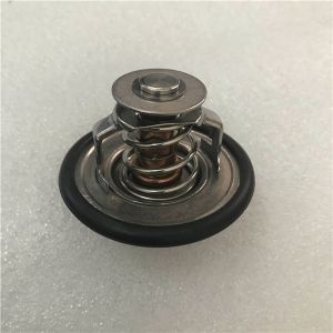 Cummins 6D107 Engine Thermostat