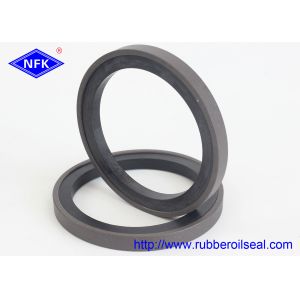 PTFE PU EPDM Rubber Oil Seal SPG 60 765 7075 Double Acting