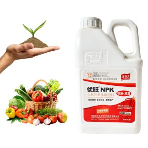 Vegetables NPK Water Soluble Fertilizer 19-19-19 Compound NPK Fertilizer For