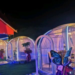 PC Polycarbonate 6m Geodesic Dome Transparent Tent For Hotel