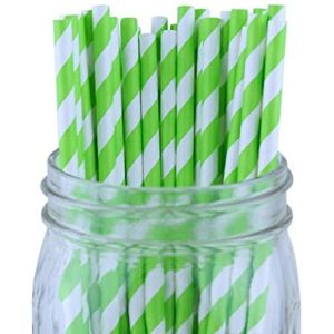 Good Striped 8.25" Bamboo Disposable Paper Straws