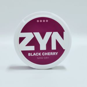 Cheap European version European Mini ZYN cans nic pouches ODM for sale