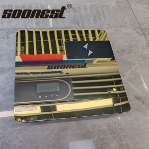 5Kva 48V Solar Inverter Quality Golden Supplier 3000 Watts 3Kw Solar Inverter