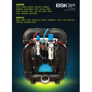 Stainless Steel Air Driven Double Diaphragm Pump For Gravure Printing