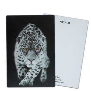Customize 3D Lenticular Postcards Dinosaur Wild Animals for Zoo Park