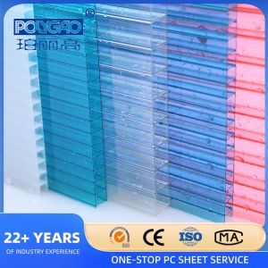 Modern Design 12mm Transparent Translucent Plastic Hollow Polycarbonate Wall