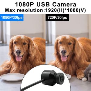 1080P Mini Bullet USB/Type-C Camera 30FPS Video Full HD Computer 2MP Micro