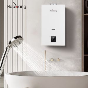 80°C Thermostat Settings Flue Gas Water Heater with Silk Screen Printing Logo