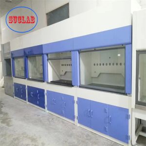 Wall Mounted Perchloric Acid Fume Hoods Low Noise Level Durable