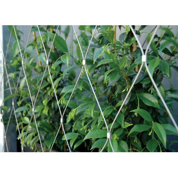 Quality YT-1630 Stainless Steel Trellis Greenery System 7x7 / 7x19 Cable Structures wholesale