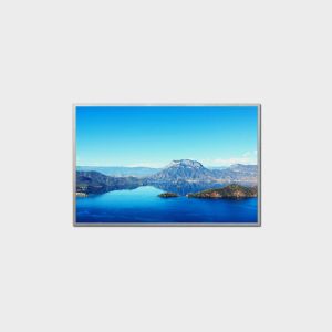 China 10.1 Inch High Brightness LCD Panel 1280*800 LVDS 1000nits LCMA-RX101B-1000 on sale