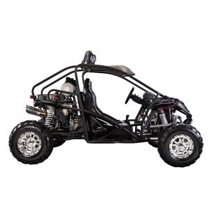 600cc Go Kart Buggy Chery Engine Manual Transmission With 5 Gears
