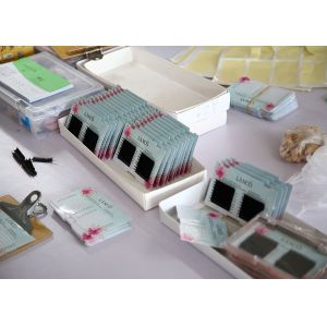 Qingdao Jasmine International Trading Co., Ltd.