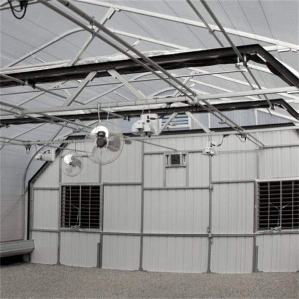 Quality Agricultural Single-span Black Out Greenhouse Automated Light Dep Deprivation Blackout Greenhouse wholesale