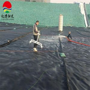 Geomembranes in Industrial Design Style for Easy Installation Pond and Dam