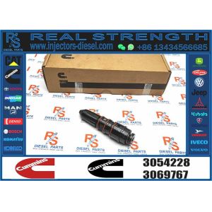 Fuel Injector 3054228