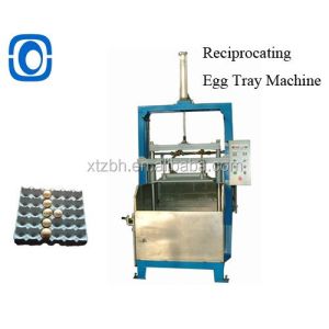 Small Pulp Packaging Machine 80KW Dish Plate Making Video Technical Support